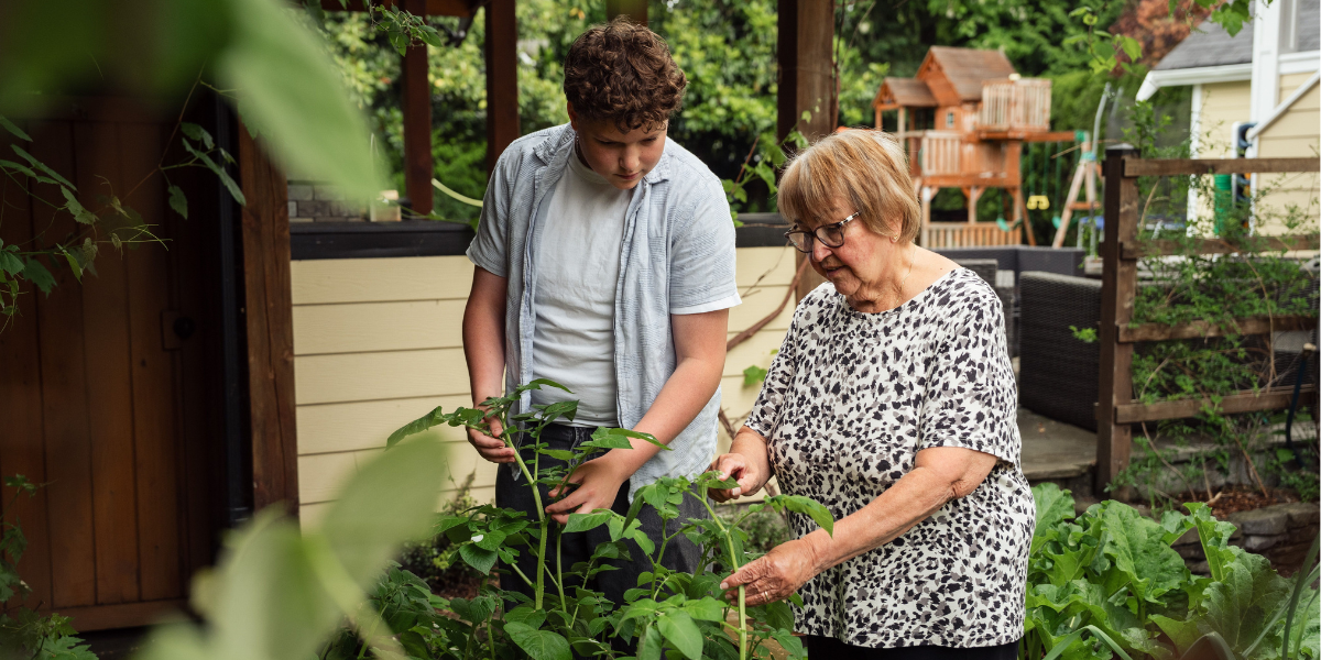 generations on allotment